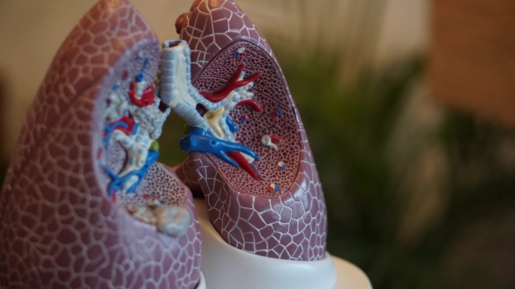 Low Power MRI Enhances Lung Images