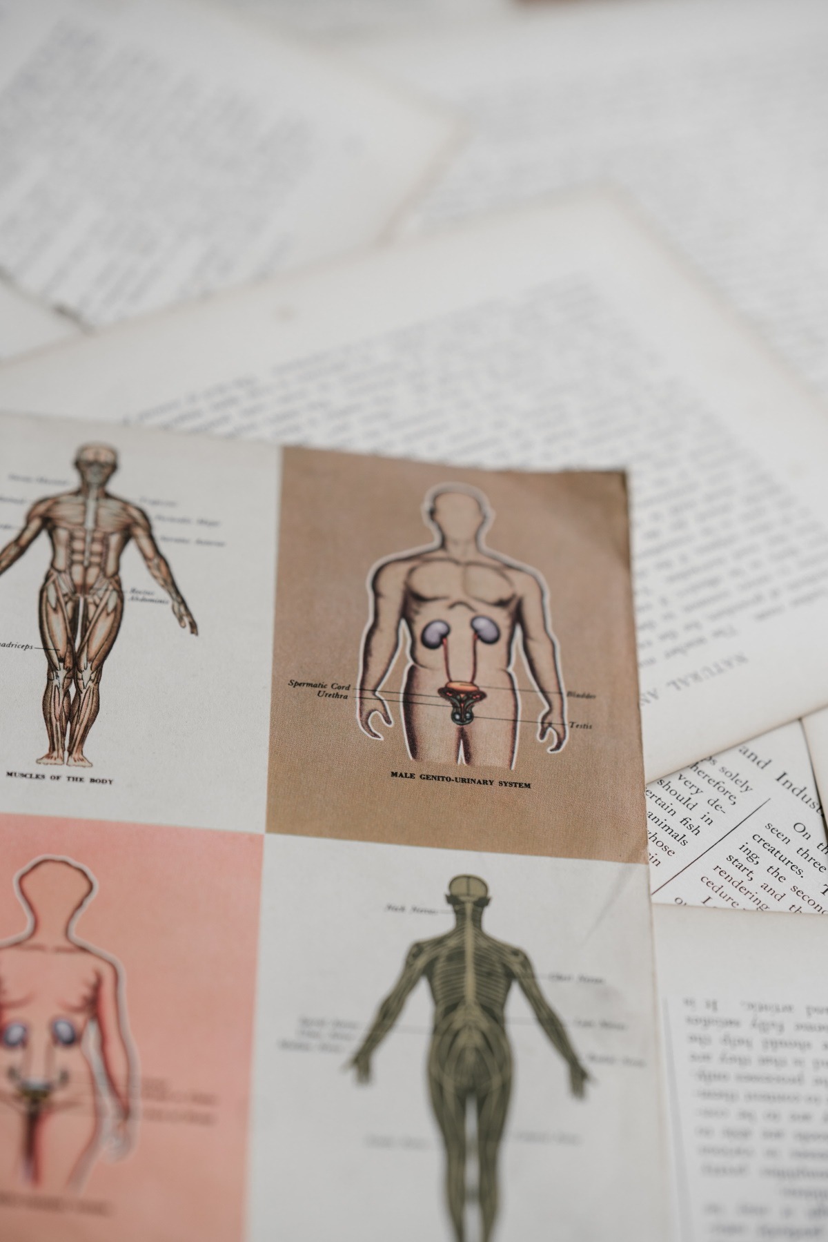 Next-Generation Imaging Will Change Prostate Cancer Paradigm